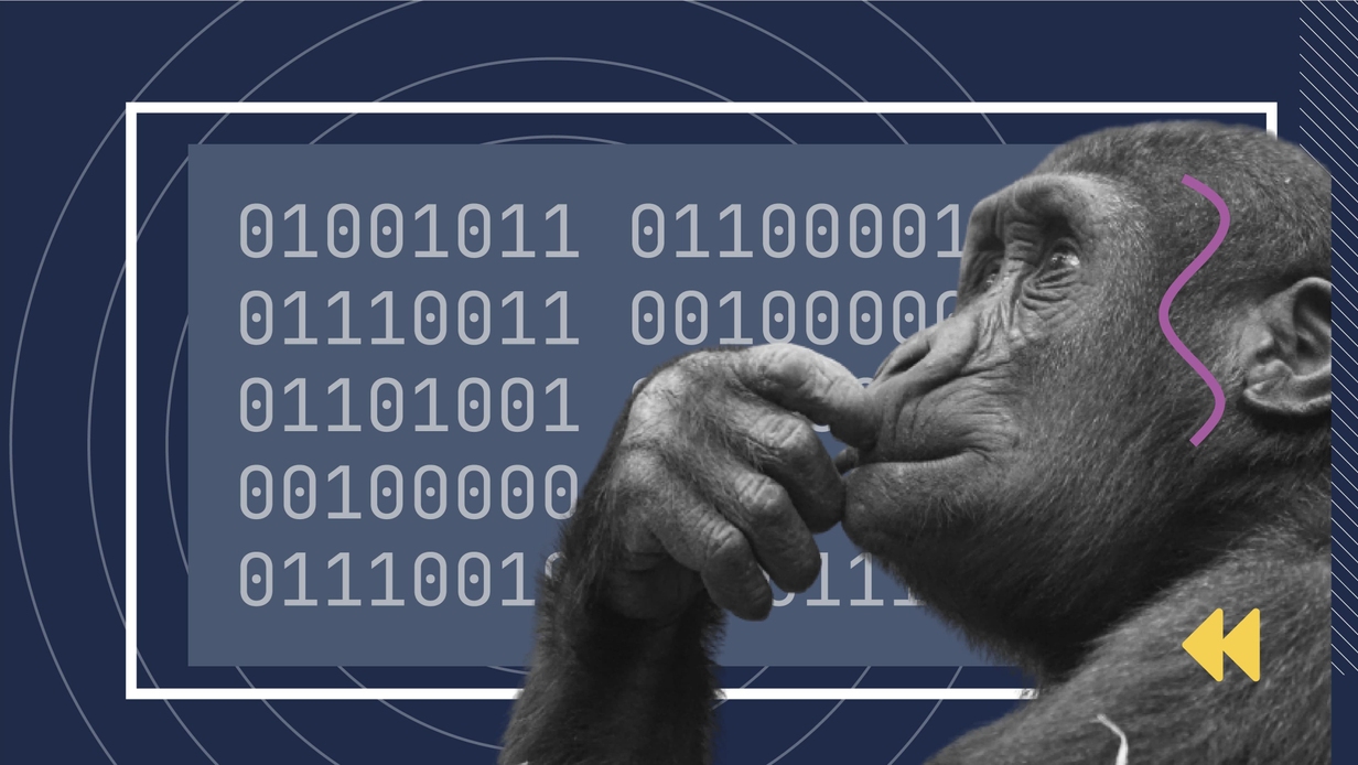 What is a software programming?